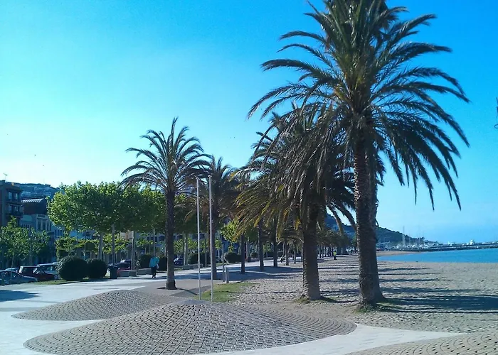 Apartamento In With Beachfront View Roses