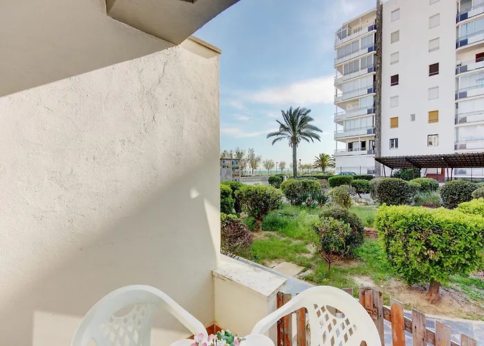 In With Beachfront View Roses